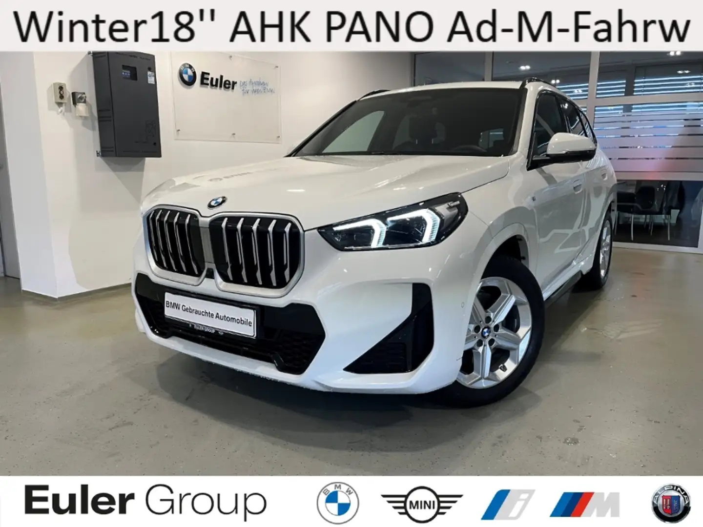 BMW X1 20i M-Sport Winter18'' AHK PANO Ad-M-Fahrw H/K PA+ Weiß - 1