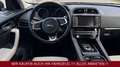 Jaguar F-Pace F-PACE R-Sport AWD Grau - thumbnail 16