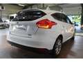 Ford Focus Focus 1.0 SCTi EcoBoost - 125 S\u0026S  III 2011 BERLINE Titanium PHASE 2 Blanc - thumbnail 7