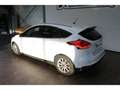 Ford Focus Focus 1.0 SCTi EcoBoost - 125 S\u0026S  III 2011 BERLINE Titanium PHASE 2 Blanc - thumbnail 5