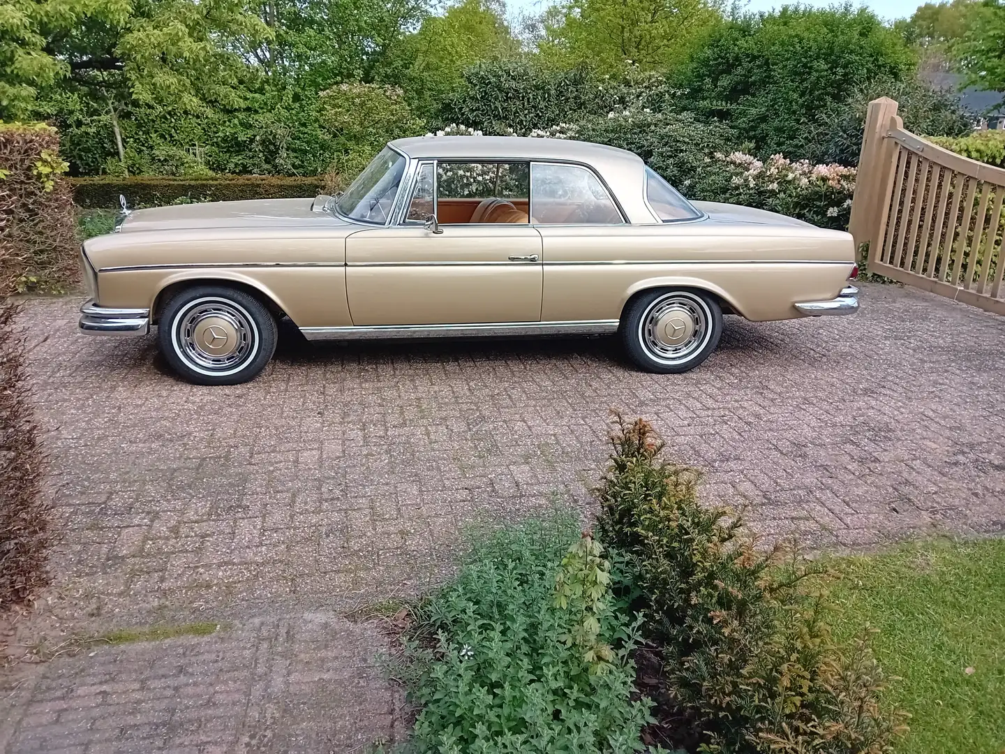Mercedes-Benz 300 SE Coupe W112 Luchtvering Bej - 2