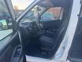 Fiat Doblo Doblò 1.6 MJT 120CV S&S PC Combi N1 Lounge Bianco - thumbnail 10