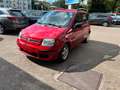 Fiat Panda 1.2 8V Dynamic Klima-E Fenster-Dachreling Rot - thumbnail 3