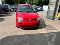 Fiat Panda 1.2 8V Dynamic Klima-E Fenster-Dachreling Rot - thumbnail 2