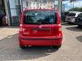 Fiat Panda 1.2 8V Dynamic Klima-E Fenster-Dachreling Rot - thumbnail 5