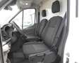 Ford Transit FT 350 Chasis Cabina 2.0 EcoBlue Heavy Dut Blanco - thumbnail 7