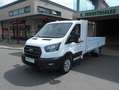 Ford Transit FT 350 Chasis Cabina 2.0 EcoBlue Heavy Dut Blanco - thumbnail 1