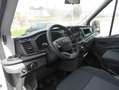 Ford Transit FT 350 Chasis Cabina 2.0 EcoBlue Heavy Dut Blanco - thumbnail 8