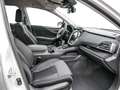 Subaru OUTBACK 2.5i Active Black Edition ACC PDC LED Weiß - thumbnail 8