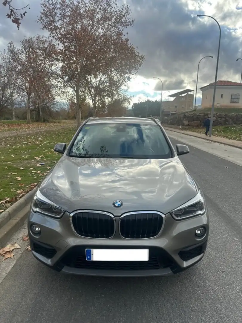 BMW X1 sDrive 16d Business Gris - 2