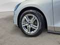 Ford Focus Focus 1.5 EcoBlue 115 CV automatico SW Titanium B - thumbnail 7