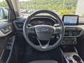 Ford Focus Focus 1.5 EcoBlue 115 CV automatico SW Titanium B - thumbnail 11