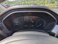 Ford Focus Focus 1.5 EcoBlue 115 CV automatico SW Titanium B - thumbnail 13