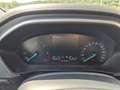 Ford Focus Focus 1.5 EcoBlue 115 CV automatico SW Titanium B - thumbnail 14