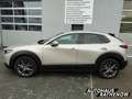 Mazda CX-30 EXCLUSIVE-LINE MODELL E-SKYACTIV-X M Hybrid EU6d Beige - thumbnail 4