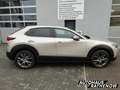 Mazda CX-30 EXCLUSIVE-LINE MODELL E-SKYACTIV-X M Hybrid EU6d Beige - thumbnail 6