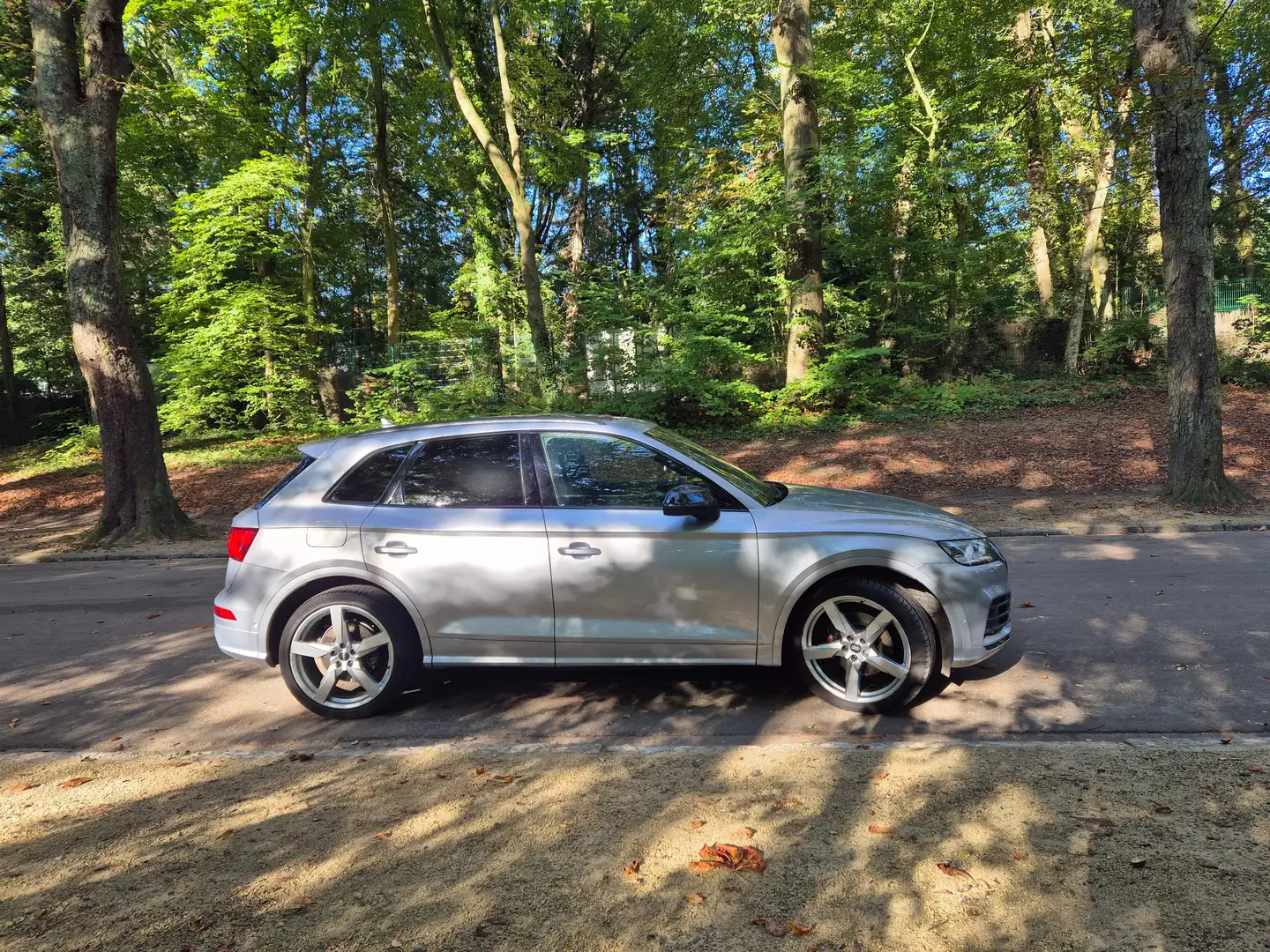 Audi SQ5 3.0 V6 TFSi Quattro Tiptronic + 4 PNEUS DE NEIGE Gris - 2