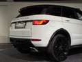 Land Rover Range Rover Evoque HSE Dynamic 2,0 TD4 Aut. / PANORAMA / White Black Weiß - thumbnail 8