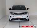 BYD Dolphin Comfort MY2025 Weiß - thumbnail 4