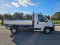 Fiat Ducato 33 2.3 MJT 130CV PM Cabinato RIBALTABILE Bianco - thumbnail 5