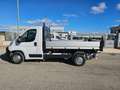 Fiat Ducato 33 2.3 MJT 130CV PM Cabinato RIBALTABILE Bianco - thumbnail 11
