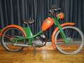 REX 504 Orange - thumbnail 2