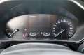 Ford Focus Traveller 2,0 EcoBlue SCR Titanium *1.Besit*LED... Silber - thumbnail 13