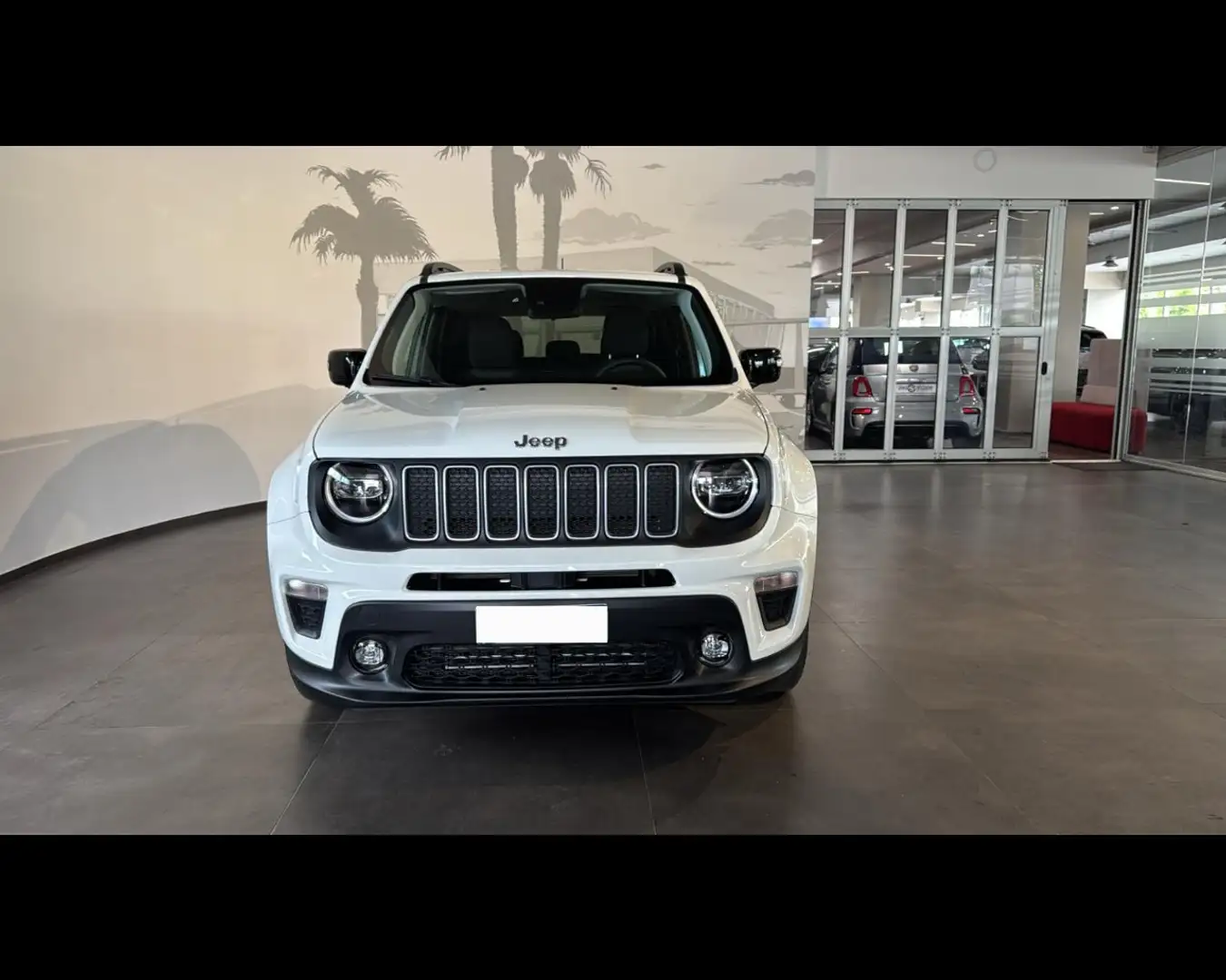 Jeep Renegade 1.6 Mjt 130 CV Limited Bianco - 2