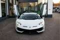 Lamborghini Aventador 6.5 V12 SVJ ''Bianco Copanus Matte'' [HEMELVAARTSD Weiß - thumbnail 11