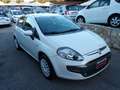 Fiat Punto Evo 5p 1.2 65cv ..QUALSIASI PROVA.. Bianco - thumbnail 3