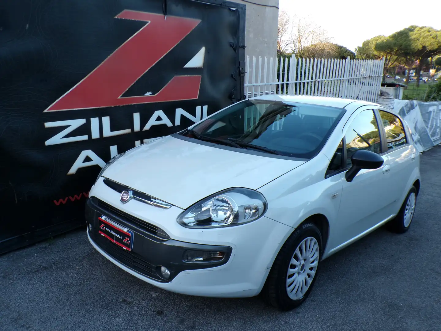 Fiat Punto Evo 5p 1.2 65cv ..QUALSIASI PROVA.. White - 1