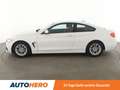 BMW 420 i Sport Line*TEMPO*CAM*SHZ* Weiß - thumbnail 3