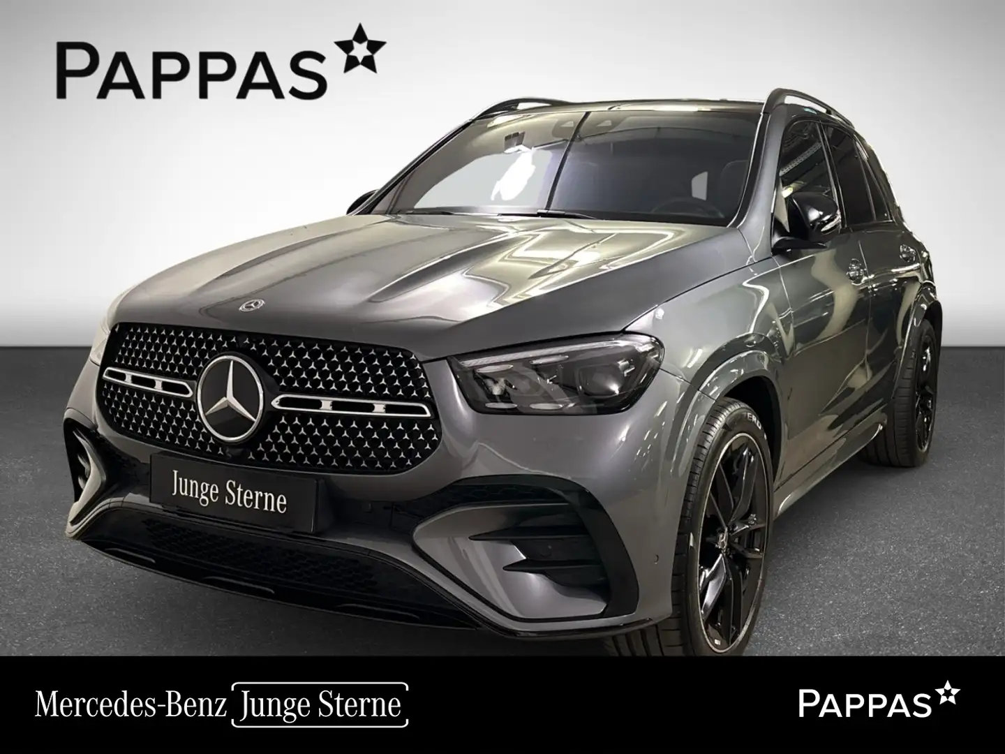 Mercedes-Benz GLE 450 d 4MATIC Sitzklima Pano LED Navi HUD Cam Grau - 1