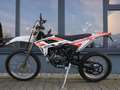 Beta RR 50 2T Enduro / Racing - mehr Modelle - thumbnail 3