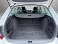 Skoda Octavia Combi 1,0 TSI Ambition *1. Besitz, AHK, NAVI* Blanco - thumbnail 9