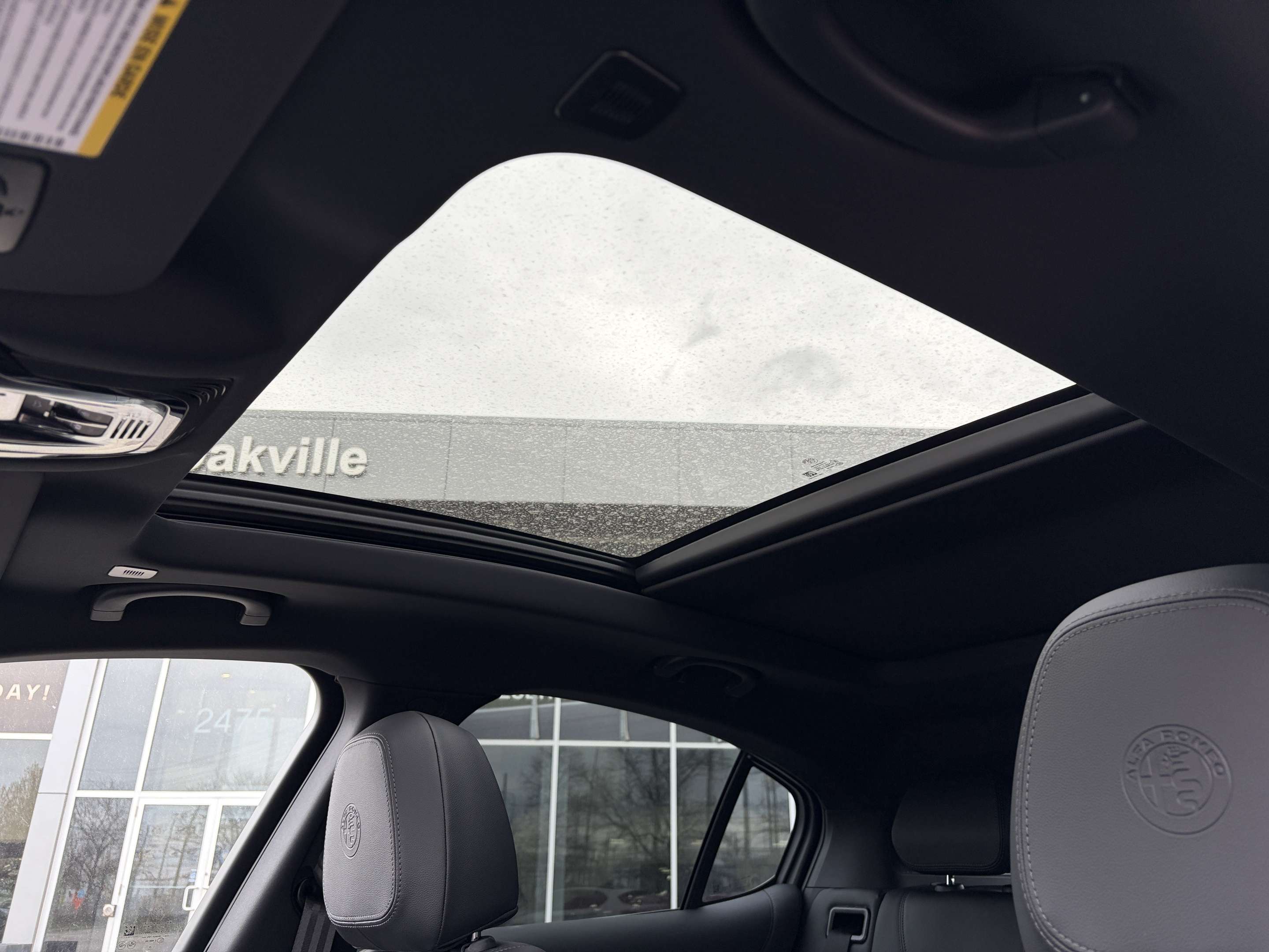 Image 12