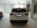 Jeep Compass 1.6 Multijet II 2WD Limited White - thumbnail 4