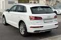 Audi Q5 Q5 50 TFSI e quattro S tronic S line plus Bianco - thumbnail 7