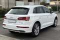 Audi Q5 Q5 50 TFSI e quattro S tronic S line plus Bianco - thumbnail 5