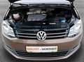 Volkswagen Sharan Highline BMT 2,0TDI DSG*LEDER*NAVI*XENON*PDC*PA... Braun - thumbnail 18