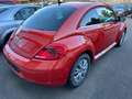 Volkswagen Beetle Club BMT / DSG / Klimaautomatik / Orange - thumbnail 4