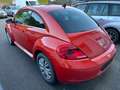 Volkswagen Beetle Club BMT / DSG / Klimaautomatik / Orange - thumbnail 3