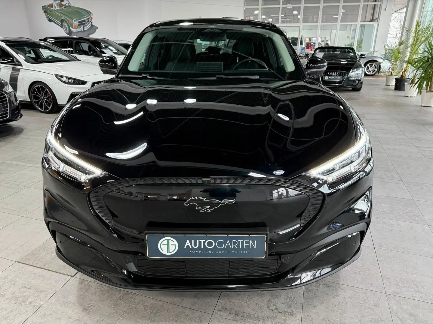 Ford Mustang Mach-E Basis*360°*Navi*Kam*Leder*LED*PDC Schwarz - 2