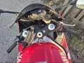 Yamaha YZF-R1 Rot - thumbnail 4