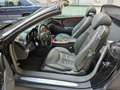 Mercedes-Benz SL 500 SL 500 V8 BOOK/CRS A LIBRETTO - thumbnail 6