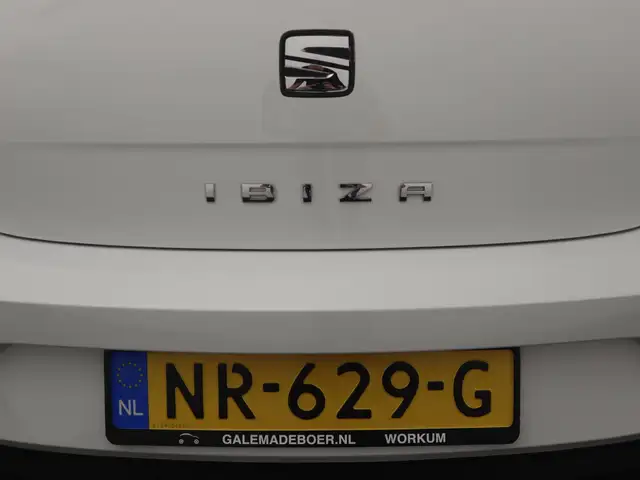 SEAT Ibiza view 20