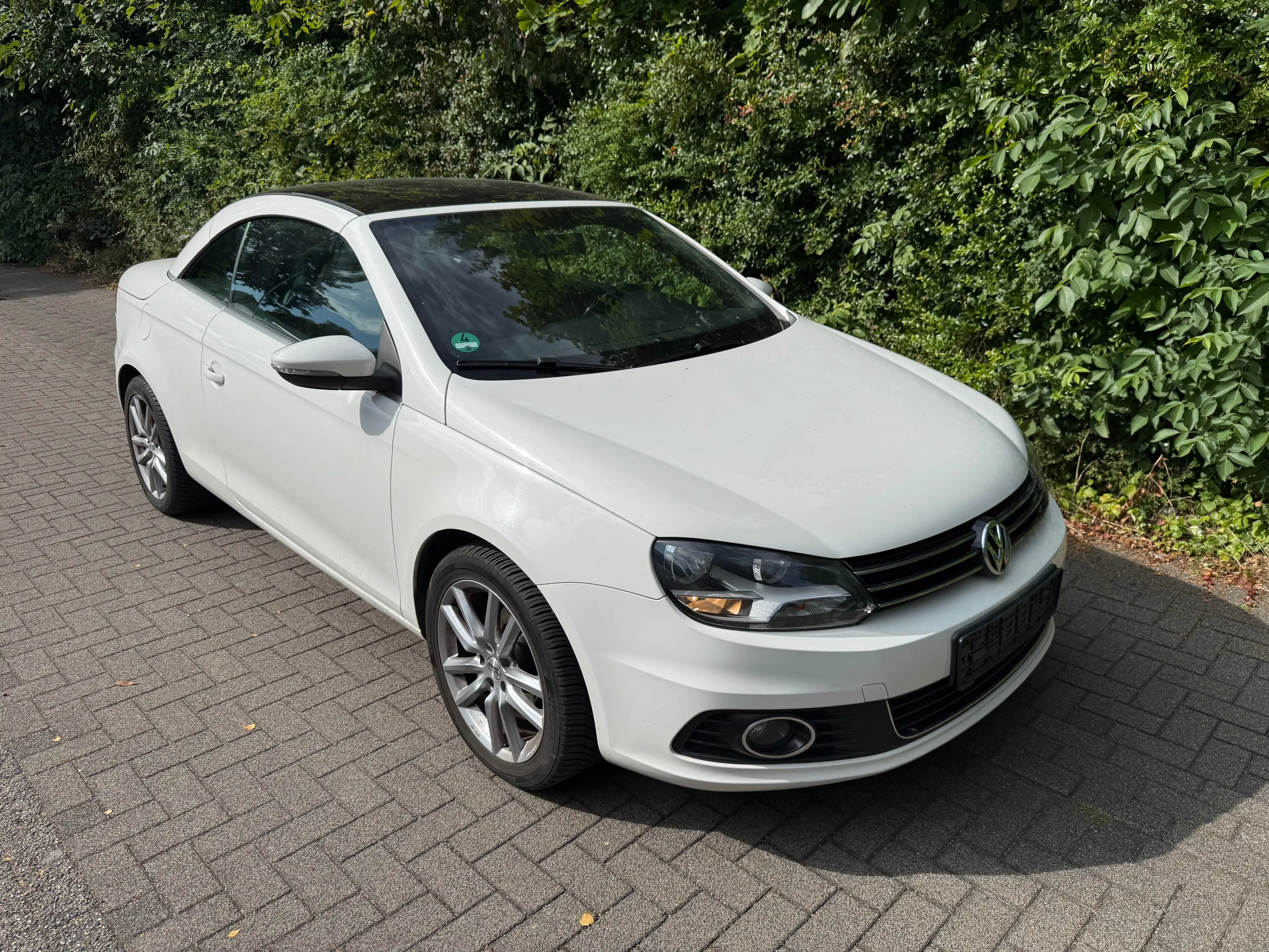 Volkswagen Eos Basis — photo 9