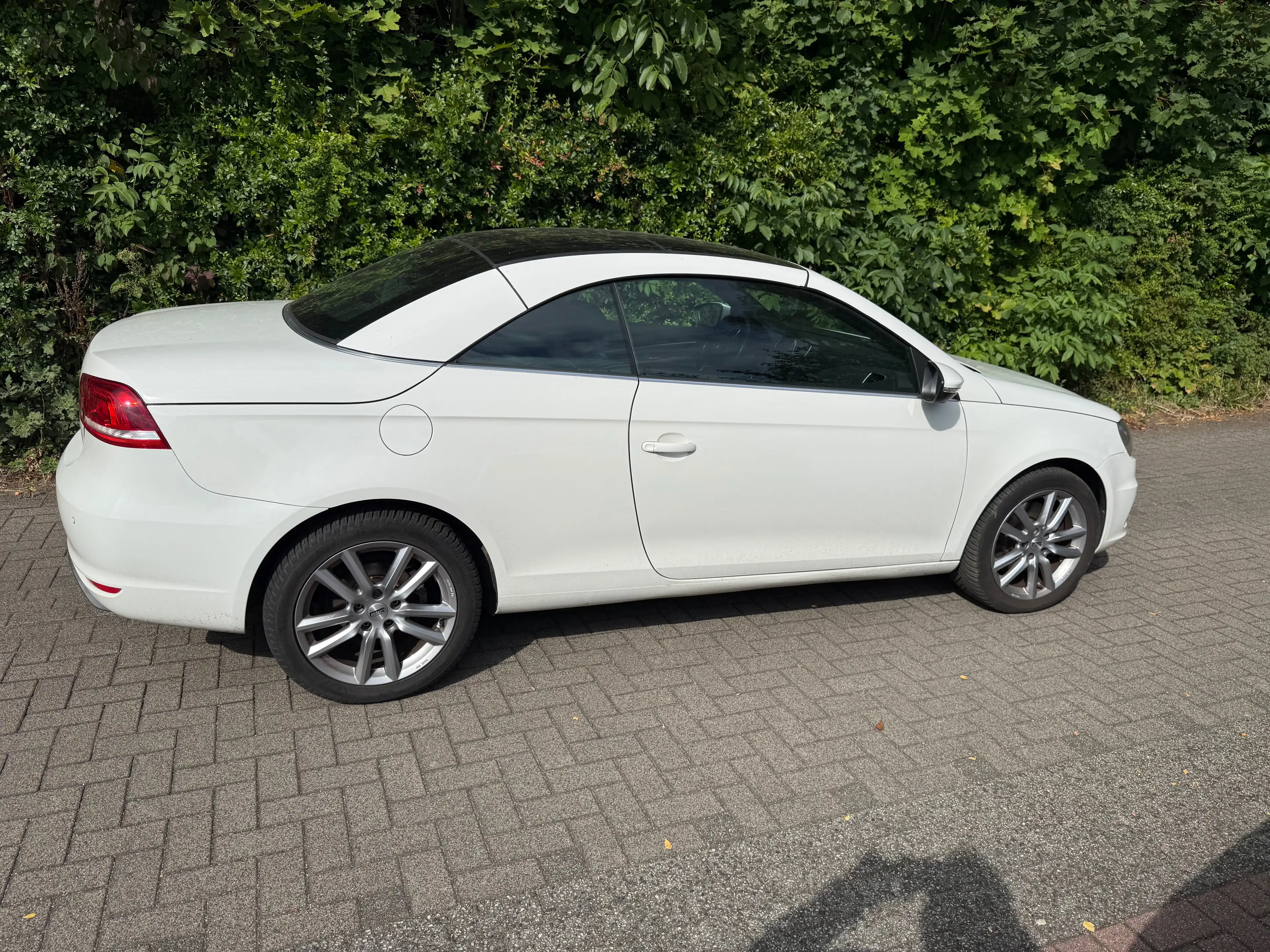 Volkswagen Eos Basis — photo 8