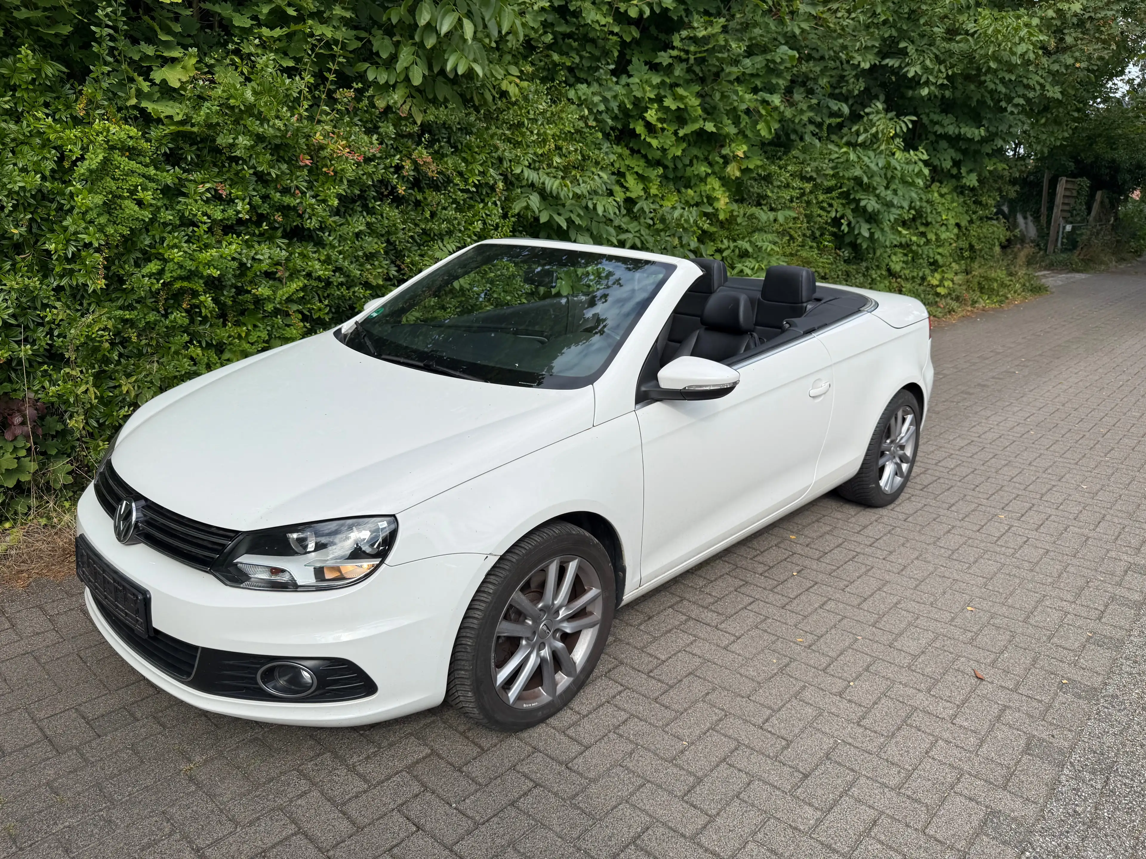Volkswagen Eos Basis