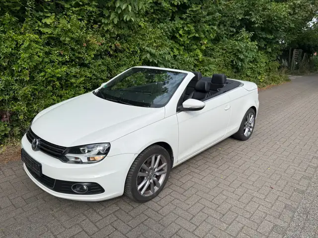 Volkswagen Eos Basis